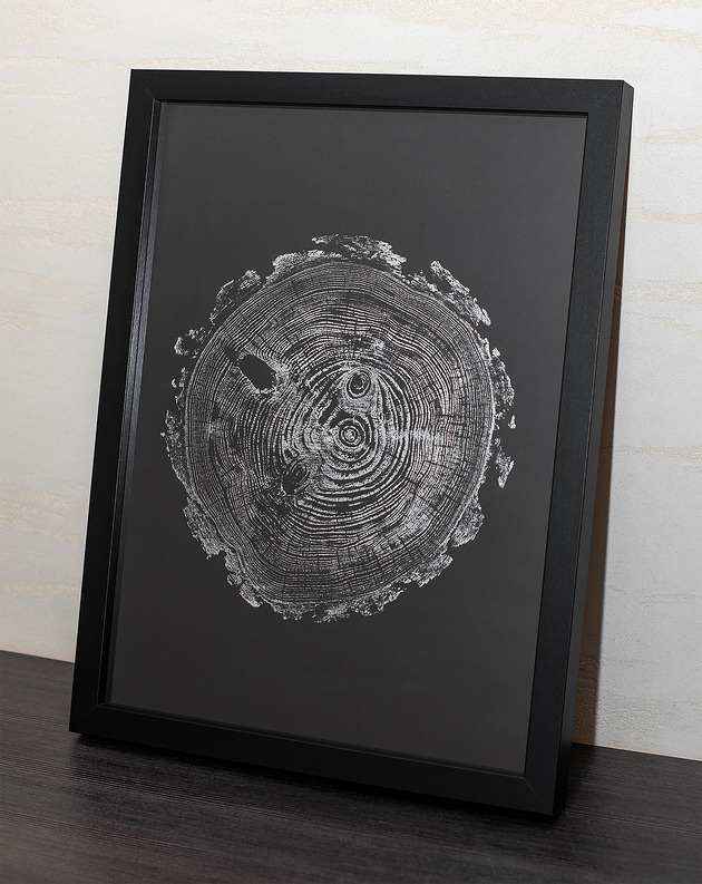 grafiki i ilustracje Minimalistyczny obraz BOTANICZNY w ramie A3. PLASTER DREWNA  32 x 42 cm