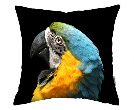 2w1 wzór- papuga i pióra - poducha 45 cm AT design