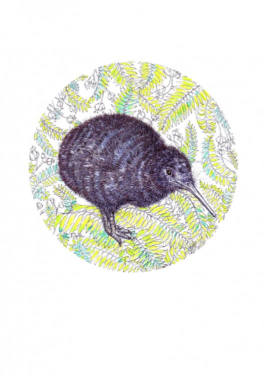 Kiwi BOSKE