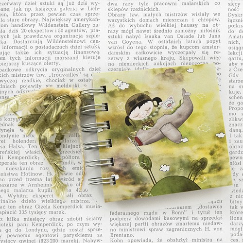notes aeroplan miamilu