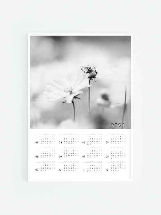 kalendarze i plannery 2026 Kalendarz IV