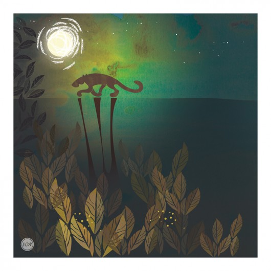 nocne wyprawy Bim Bom