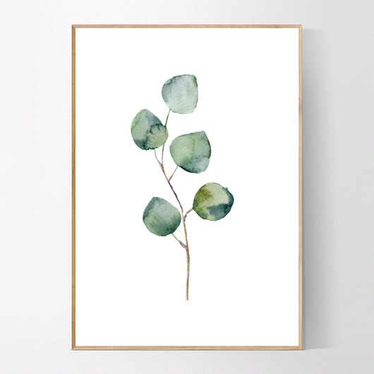 Plakat EUKALIPTUS NO.2 MUKKO