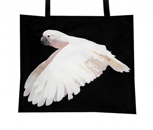 Nowość! Lecąca papuga + gratis :) AT design