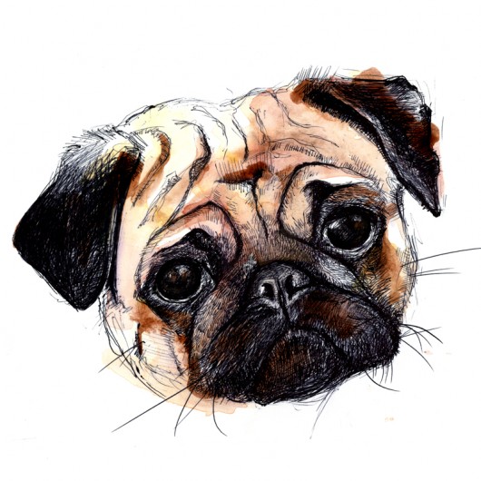 Mops  DWUKROOPEK