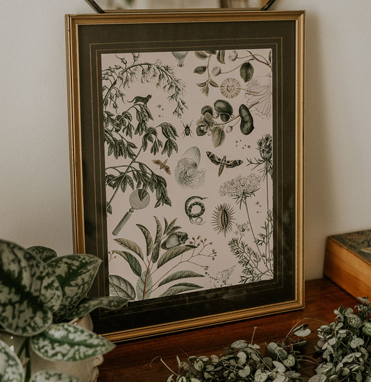 Plakat Botanical stories w oprawie 30x40 Anita Tomala