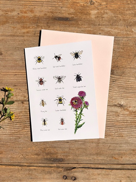 kartki okolicznościowe - wydruki Pszczoły i trzmiele - Kartka- Grafika- Ilustracja- Natura