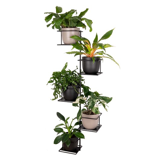 kwietniki Kwietnik Dżungla 3 czarny