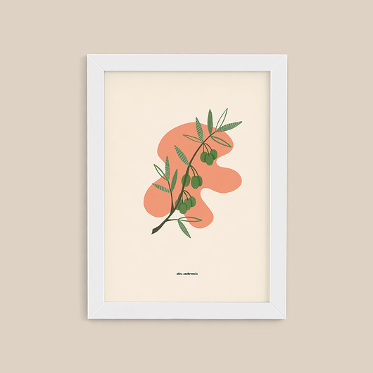 plakaty plakat / oliwka / 30x40 cm