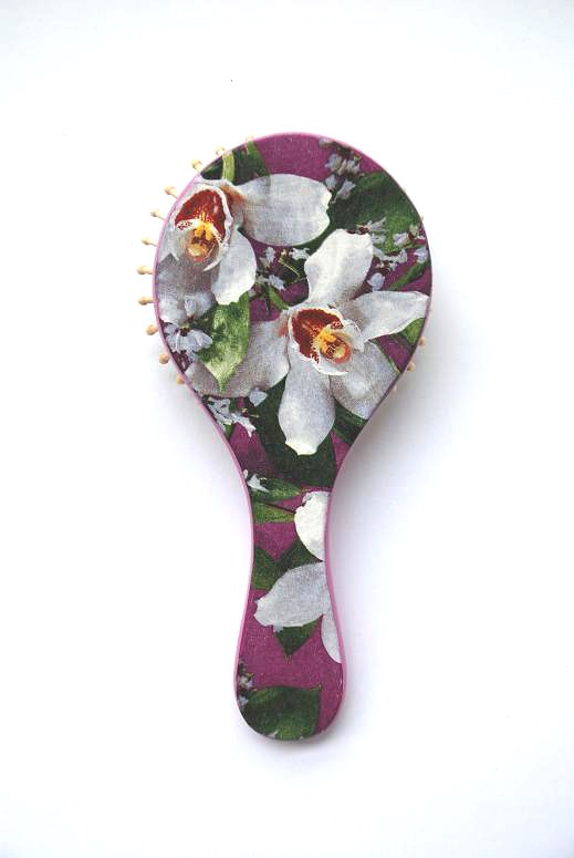 Dzika orchidea artrachela