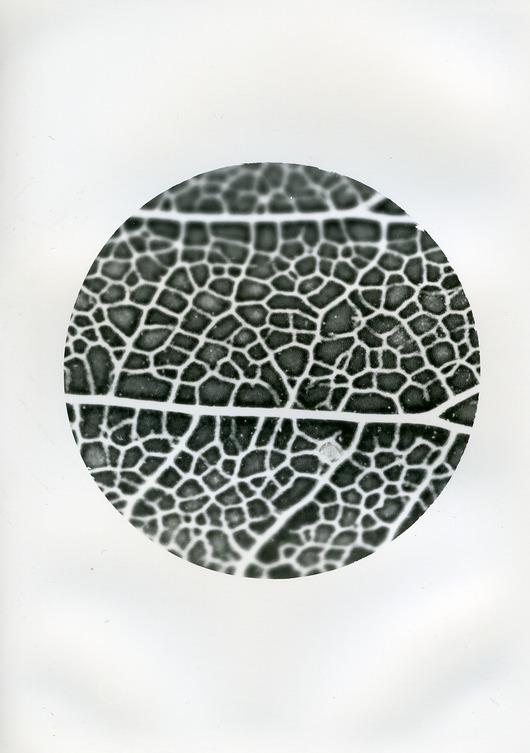 fotografia Struktura_1_