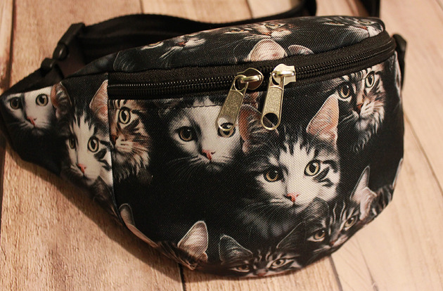 saszetka nerka Nerka koty III