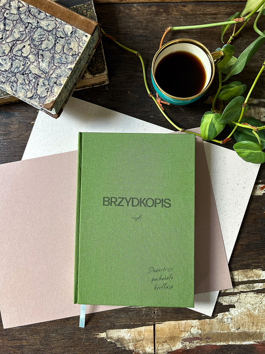 notatniki i albumy Brzydkopis (notes)