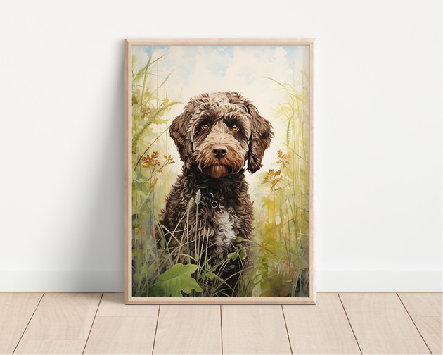 plakaty Plakat lagotto romagnolo