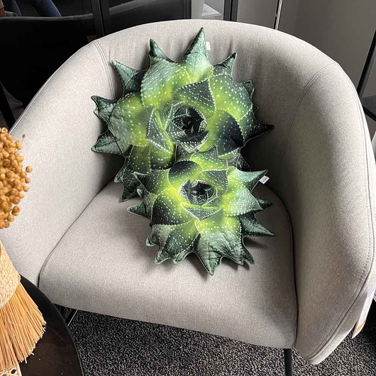 poduszki z grafiką Zestaw Poduszek Aloes Sukulenty