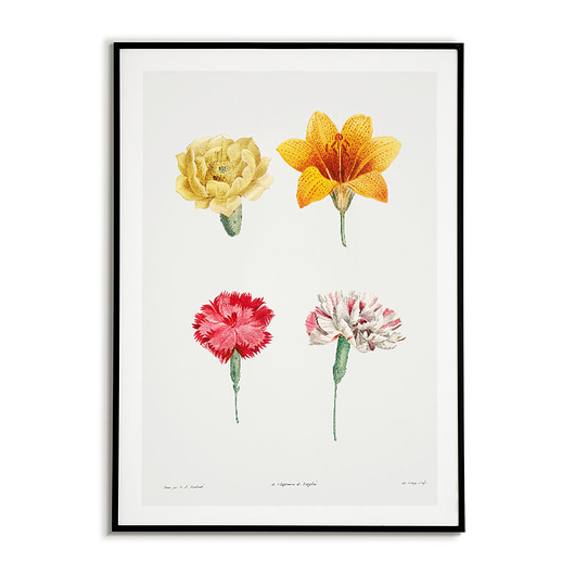 Plakat botaniczny Tablica z kwiatami - Vintage Bajkowe Obrazki