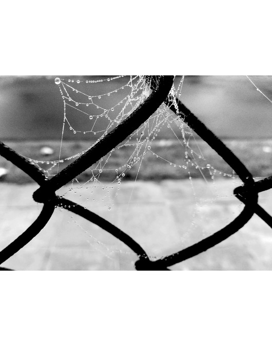 fotografia Fotografia pt.: 'Drop 3' czarno-biała, 50x70cm