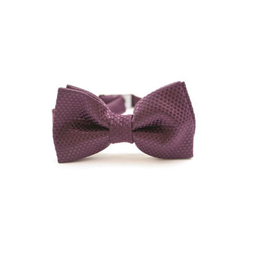 Mucha Purpurowa EDYTAKLEIST