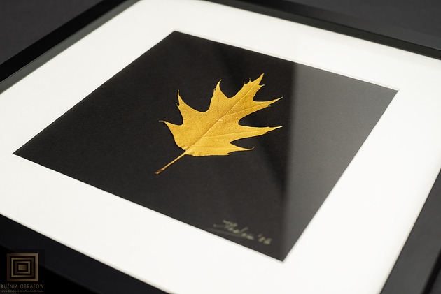 Ozdoby na ścianę Autorski Obraz Botaniczny. Złoty Liść Dębu. Czarna Ramka 25x25cm