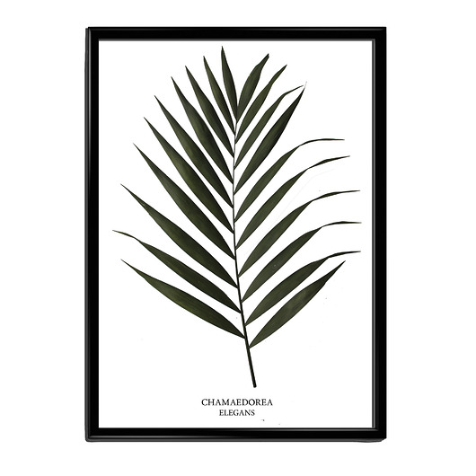 Plakat a4 CHICO JUMBO Lawendowy Bazar