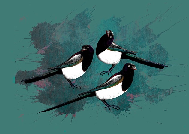 grafiki i ilustracje TrzY  srOczki
