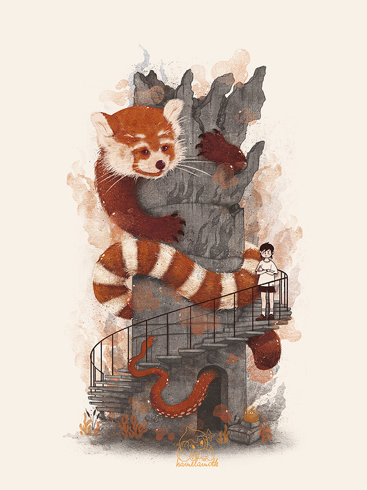 plakaty Plakat Red Panda