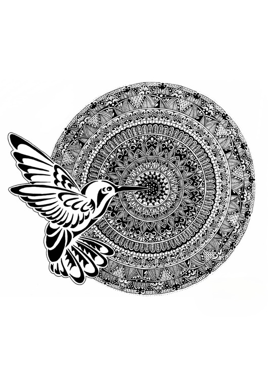 grafiki i ilustracje Mandala nr 18, Koliber, reprodukcje