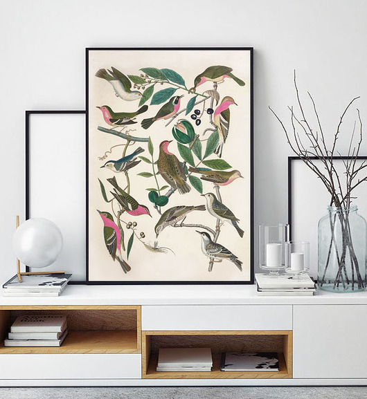 Grafika 50x70 cm Milo Mi