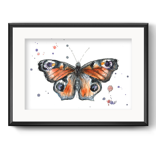 Motyl pawie oczko, 30x21 cm, A4 JUST ILUST Justyna Małczak