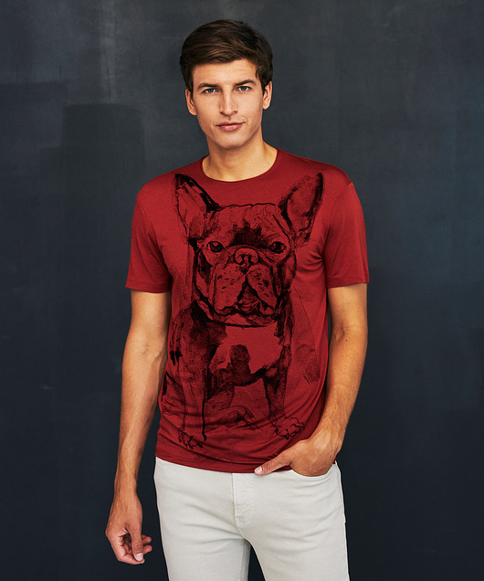 t-shirty męskie Bulldog Men's T-shirt marsala