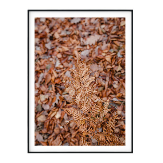 Plakat Polskie Krajobrazy - Kaszuby no. 5 myscandi