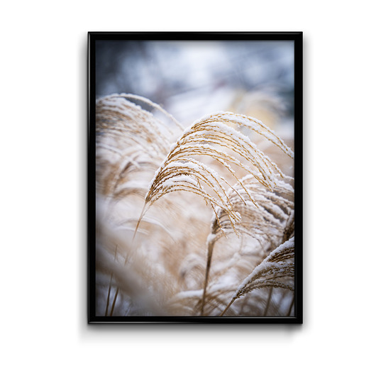 plakaty Plakat Przyroda Zimą No.3