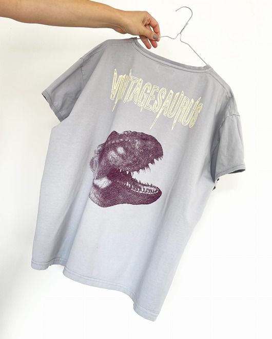 t-shirt damskie T-shirt Vintagesaurus grey