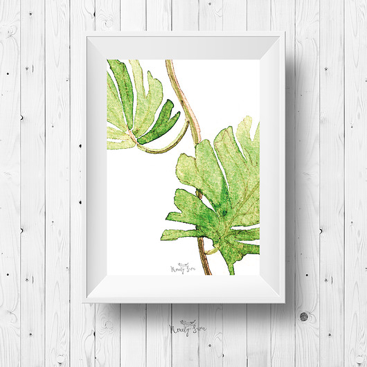 Plakat botaniczny A4  - Liście Merely Susan