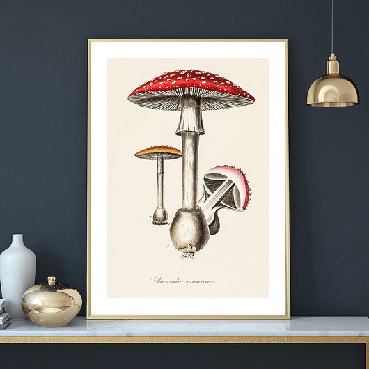 Plakat MASHROOM muybien