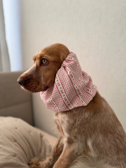 ubranka dla zwierząt Snood dla psa ochraniacz na uszy