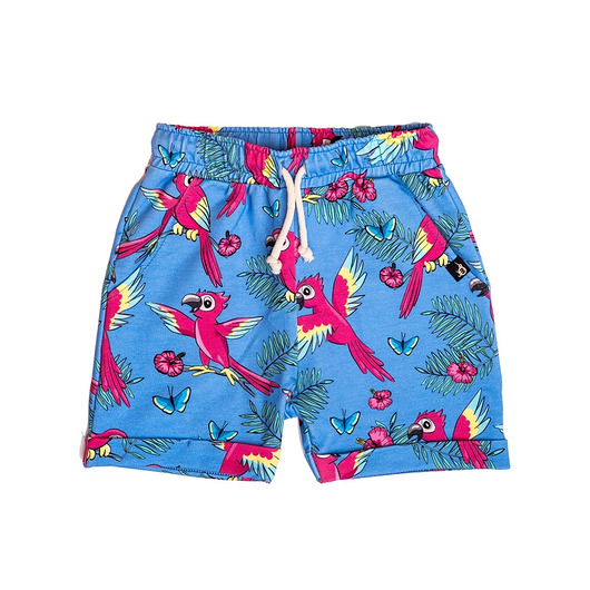 spodnie dla chłopców Szorty Niebieska Papuga