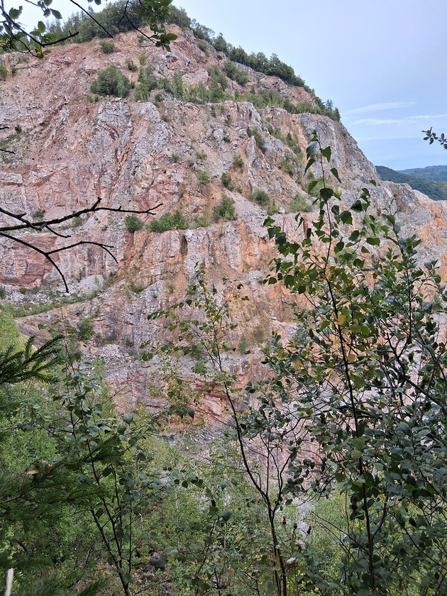 broszki Broszka niespodzianka