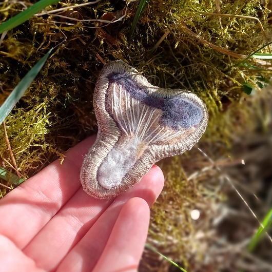 broszki Przypinka z grzybem