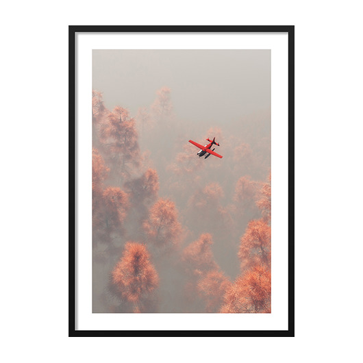 PLANE ABOVE RED FOREST, POSTER - Różne rozmiary mermer