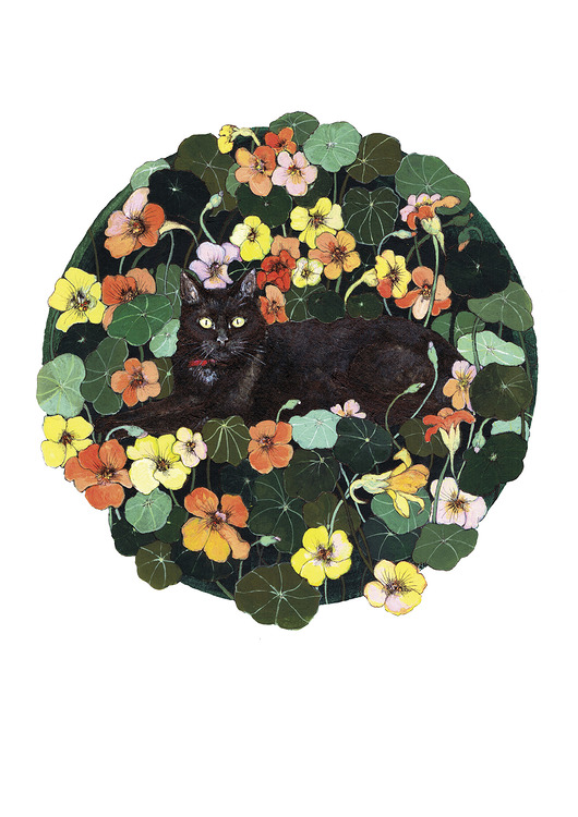 grafiki i ilustracje Grafika- Czarny kot i nasturcje