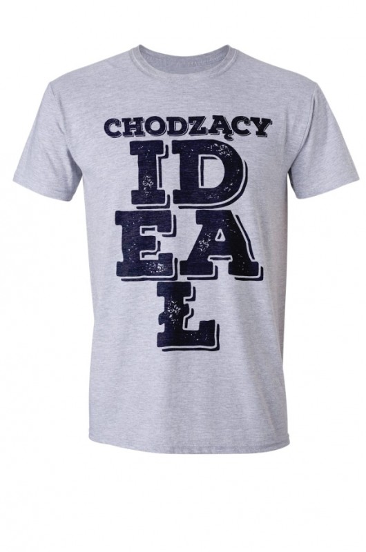 IDEAŁ - Koszulka Męska SZARA T-shirt GAU great as You