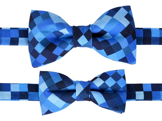 Mucha Tata i syn  DanteBowTie