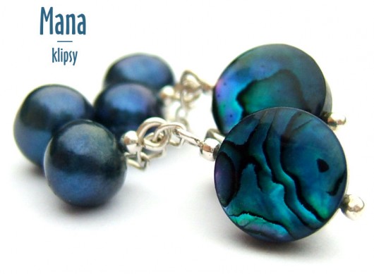 PAUA - Mana Kopalnia Srebra Mariselli