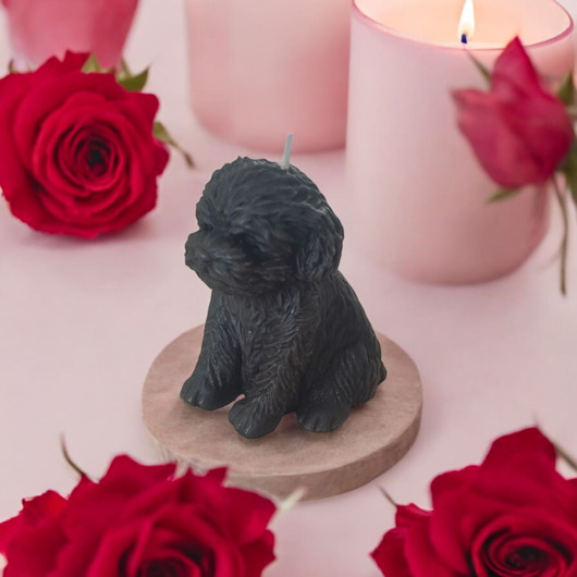 świeczniki i świece Czarna świeca pies - uzdrawianie zwierząt