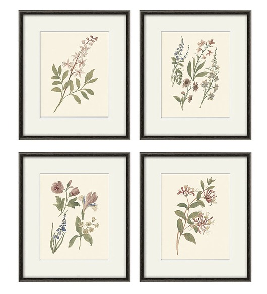 grafiki i ilustracje Zestaw Grafik Botanicznych Vintage