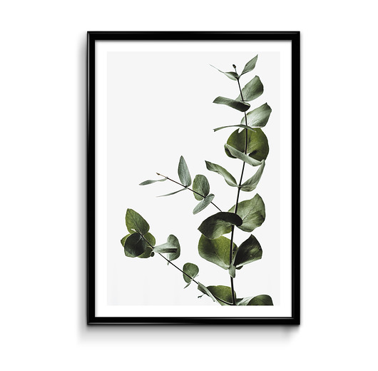 Green #1 - plakat  Bury Lis