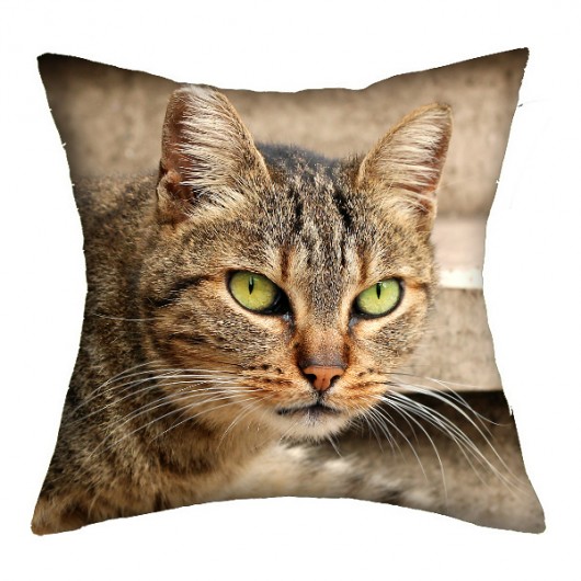 Rzymskie koty 4 - poducha 45 cm AT design