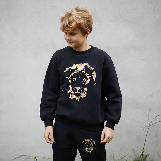 bluzy dla chłopców Bluza dziecięca z haftem lwa