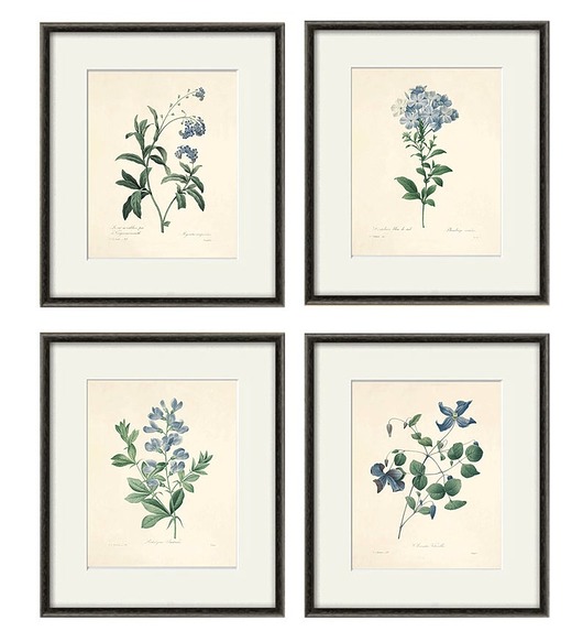 grafiki i ilustracje Rysunek kwiaty grafika motywy kwiatowe dekoracje